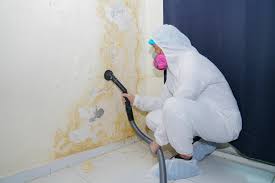 Forensic Mold Investigation in Dearborn Heights, MI